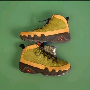 Jordan retro 9 beef and broccoli